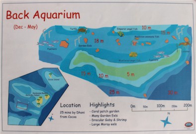 Back Aquarium